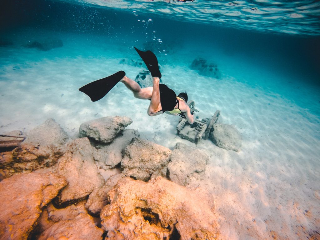 Bahamas Snorkel